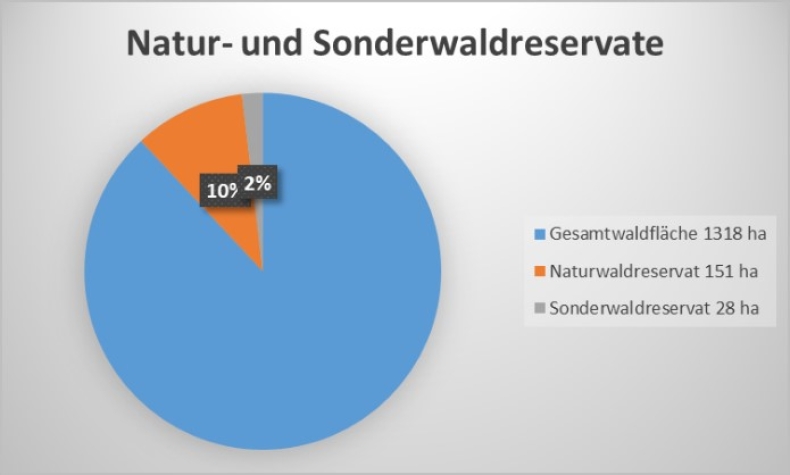 Grafik Natur und Sonderwald